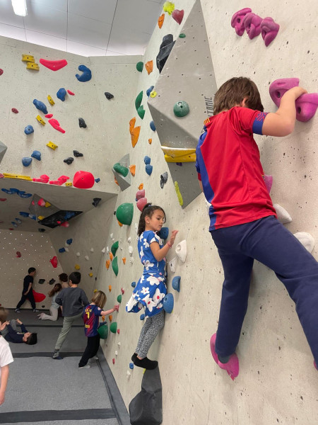 foto-4-8-redim-w800-h600